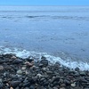イカとサケのダブルヘッダーの釣り（後編）