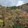 移動路の紅葉狩り