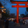 京都の桜2016・平野神社～夜のライトアップ