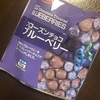 【セブンイレブン／低糖質スイーツ】フローズンチョコブルーベリーはダイエット向きの冷凍スイーツ！