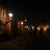 東京ディズニーシーに行ってきた（7/31） #7 ～Good Night.～ 【終】