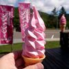 北海道　滝上町　道の駅　香りの里たきのうえ　/　芝桜の味のソフト