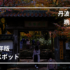 【2024年版】兵庫の紅葉の名所『高源寺』。散り紅葉の魅力を撮影してきた。