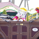 がんがんじいのブログ３（志摩スペイン村に行って来ました）