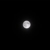 Full moon / Hunter's moon / Super moon