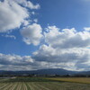 鳥となって讃岐野へ