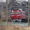 今日の鉄道写真EF81