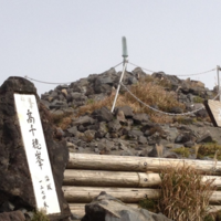 【中古】 花をめぐる九州の山歩き 山に行くとこんなにすてきな花と出合える！/熊本日日新聞社/宮本文雄 中古】 花をめぐる九州の山歩き 山に行くとこんなにすてきな花と