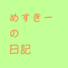 めすきーの日記 5日目