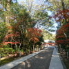 鴨神社（兵庫県川西市加茂）　川辺郡大神郷の多太神社も近在する大弥生集落・加茂遺跡の地