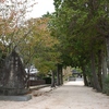 山行記　右田ヶ岳　天徳寺ルート→塚原ルート