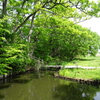 加須市　浮野の里（１）　堀り上げ田の湿地とクヌギ並木