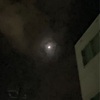 月夜の楽しみ