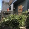 Aloe