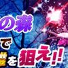 突撃！夢魔の森
