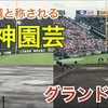 甲子園球場に初の女性グランドキーパー