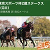 【 ハルの競馬予想  11/23.2020 】