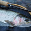 釣りに行くなら、月末、年末、年度末。