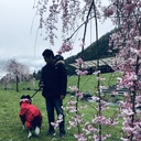 天体望遠鏡川辺のブログ