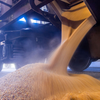 ポーランド、ウクライナの穀物輸入を停止
