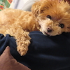 今日から4月！