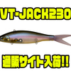 【Fish Arrow】唯一無二のライブ波動で誘うビッグベイト「VT-JACK230」通販サイト入荷！