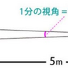 鵜の目鷹の目の視力