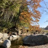 【登山】高槻市　摂津峡　紅葉感じる事ができて良き