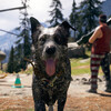 Far Cry 5日記　第4回 無限に遊べそう