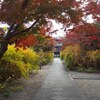 【梨木神社】縁結びの御神木に染井の水！萩の紅葉美しい境内を散策