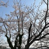 ４月８日、満６０歳