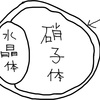 右目に光が！・・・幸い老化現象の「硝子体剥離（はくり）」でした。