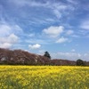 権現堂花見・三峯神社ツーリング（2017/04/02）