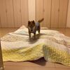 家の中で犬を飼うこと