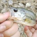 みっちーの釣りブログ