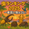 【2025年版】あつ森で一番値段が高い虫はどれ？💰全虫ランキングTOP20