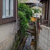 今回は左手の建物の塀から飛び出した庭木の