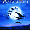 「Wataridori」