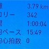 2023年ランニング記録71時間