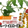 フルーツイエローEXとは？｜甘くて食べやすい黄色いミニ【日本デルモンテ】
