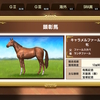 ついに初の凱旋門賞出走！Ｇ１８勝の顕彰馬！自家製配合産駒！キャラメルファール（Swtich版ダービースタリオン195）