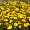 風邪とか体育祭とかテスト返しとか