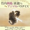 山種美術館「竹内栖鳳《班猫》とアニマルパラダイス」