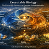 Executable Biology：制約定義的可否性と生体システムにおける実行可能幾何学