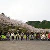 「晴日」のお花見