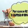 【3月は失敗したのでリベンジ】Amazonセールで１万円分お買い物をする（2025年4月）