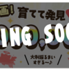 ポイントインカムで年末年始キャンペーン開催予定！１２月２６日に１００万ｐｔ山分け企画！