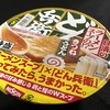 日清のどん兵衛 特盛 ラーメンスープの!? きつねうどん　拒否感・・・