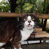 11月2日(月)のつぶやき