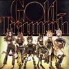 ウマ娘 プリティーダービー「Gold-Triumph」歌詞意味解釈：黄金一族の圧倒的な凱歌....